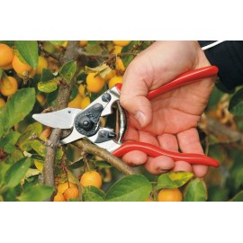 Tijera de podar compacta - FELCO 6