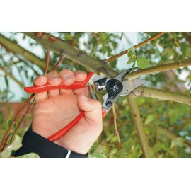 Tijera de podar compacta - FELCO 6
