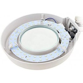 Lupa de Mesa con luz led 20x - INTBUYING