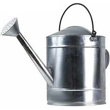 Regadera de Metal para...