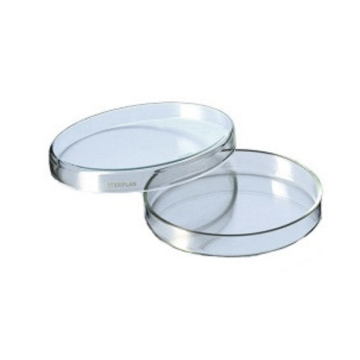 Placa Petri Vidrio 60x15MM