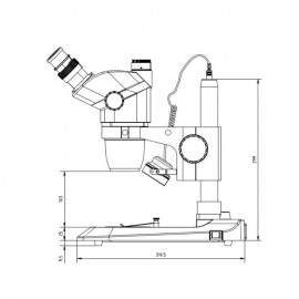 Estereoscopio Trinocular EUROMEX - NZ1903-P